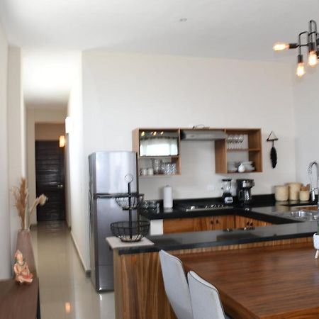 Casa Luz Downtown Apartments In تولوم المظهر الخارجي الصورة